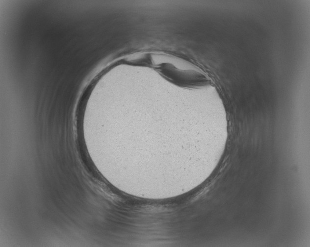 X0000082170246200702162308