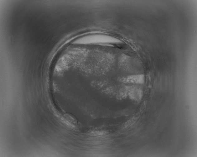 X0000082170247200702162308