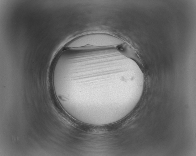 X0000082170248200702162308