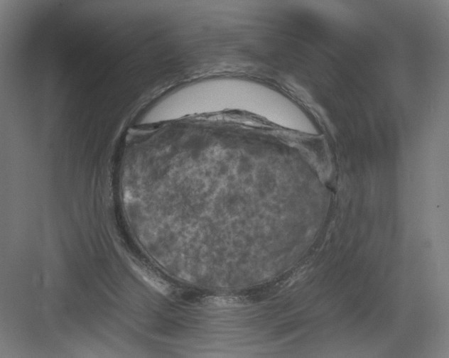 X0000082170250200702162308