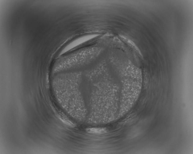 X0000082170251200702162308