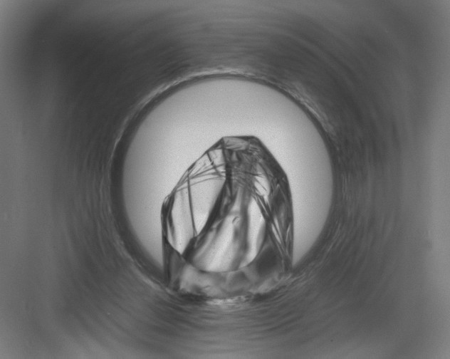 X0000082170252200702162308