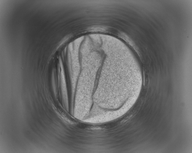 X0000082170253200702162308