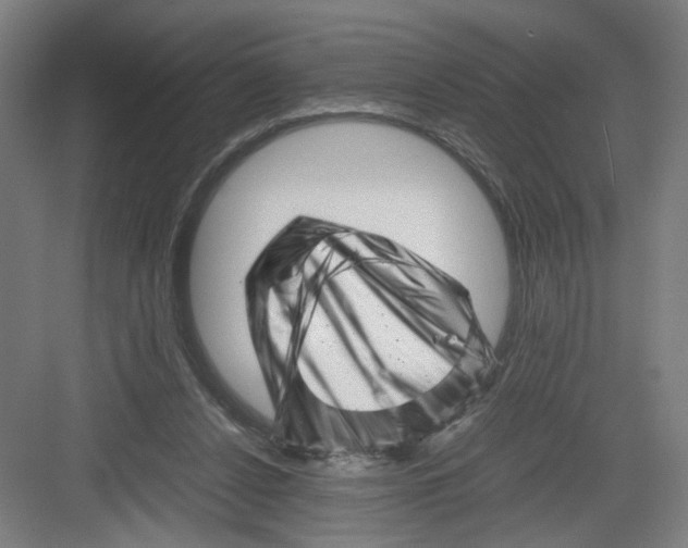 X0000082170256200702162308