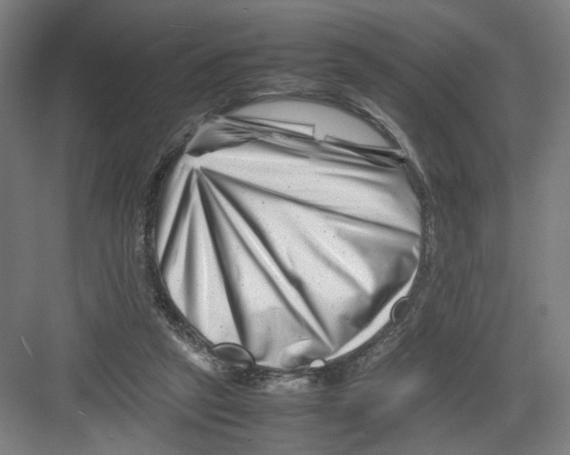 X0000082170257200702162308