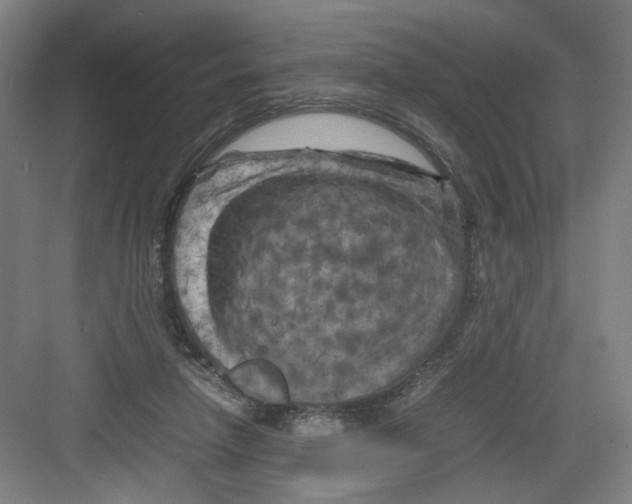 X0000082170258200702162308