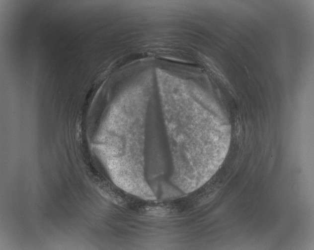 X0000082170259200702162308