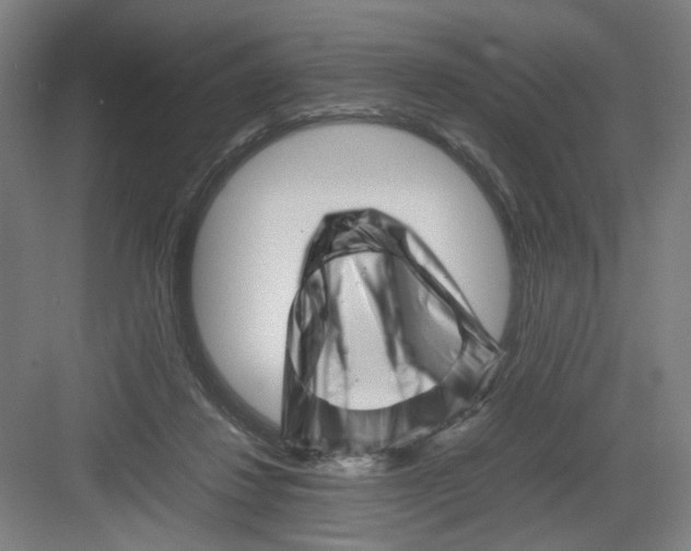 X0000082170260200702162308