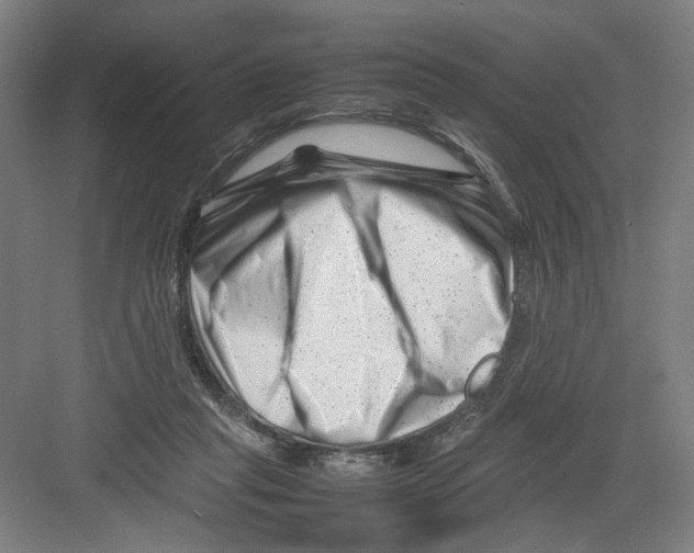 X0000082170261200702162308