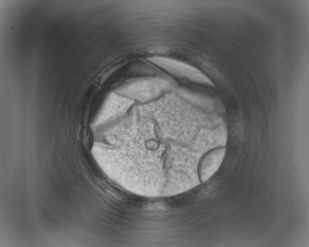 X0000082170262200702162308