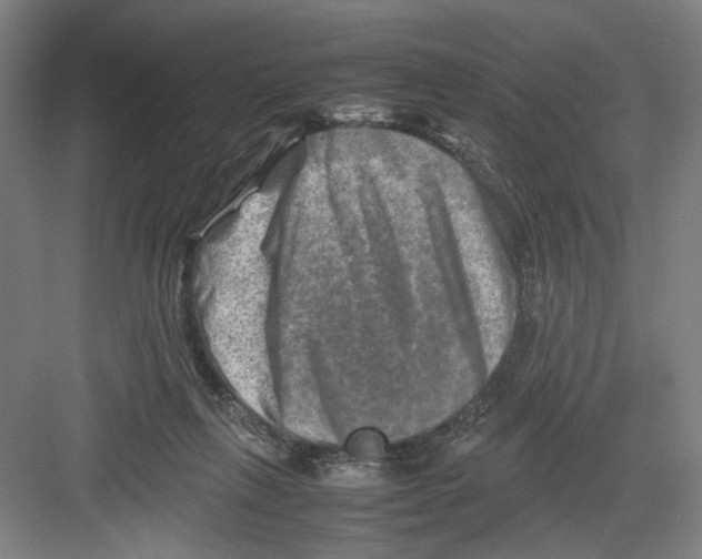 X0000082170263200702162308