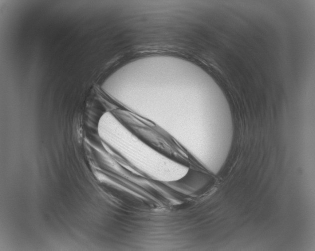 X0000082170264200702162308