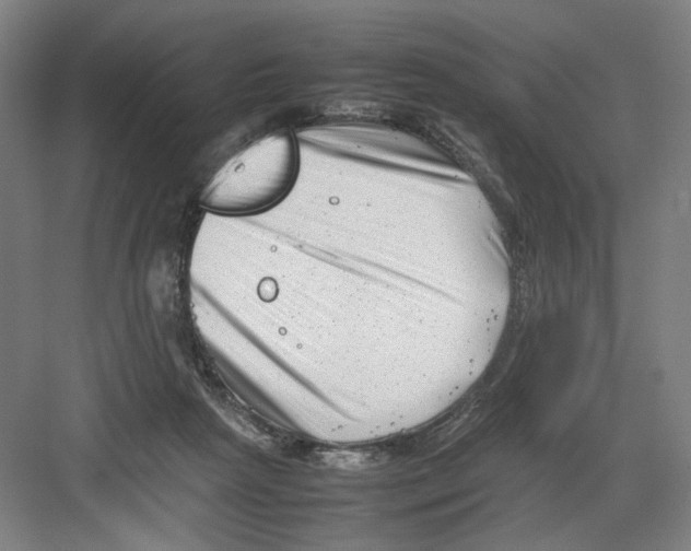 X0000082170265200702162308