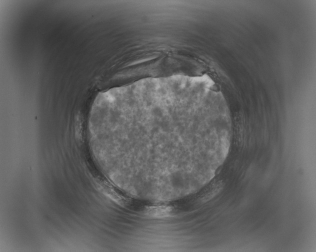 X0000082170266200702162308