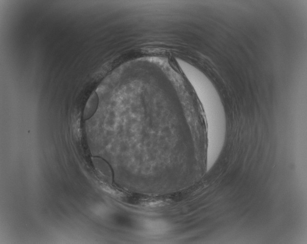 X0000082170267200702162308