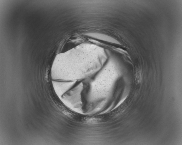 X0000082170268200702162308