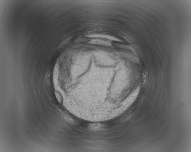 X0000082170269200702162308