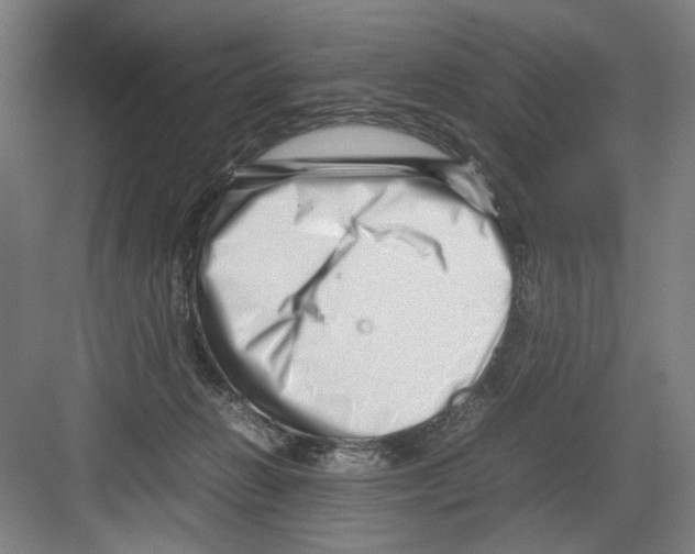 X0000082170270200702162308