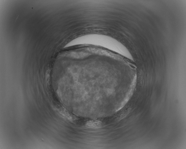 X0000082170271200702162308