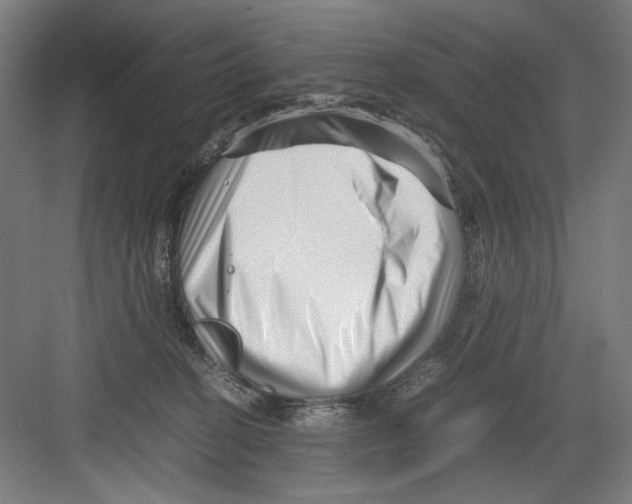 X0000082170274200702162308