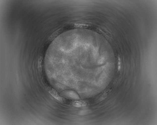 X0000082170275200702162308