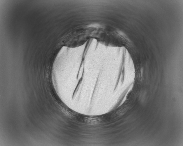 X0000082170277200702162309