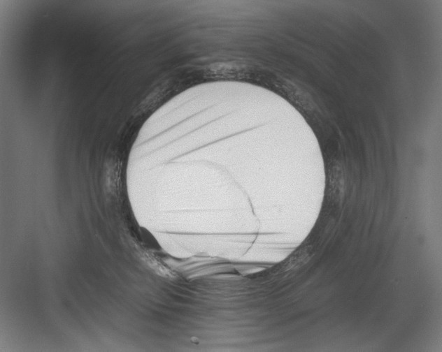 X0000082170278200702162309