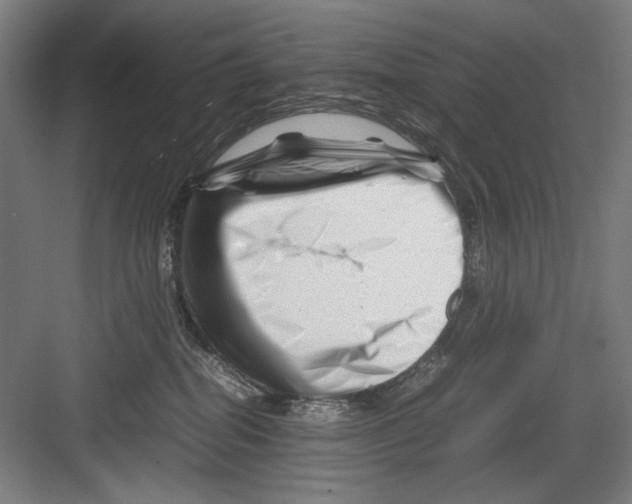 X0000082170282200702162309