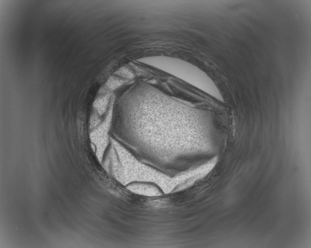 X0000082170283200702162309