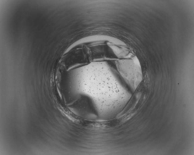 X0000082170284200702162309