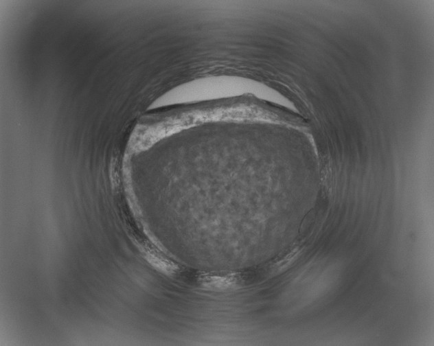 X0000082170285200702162309