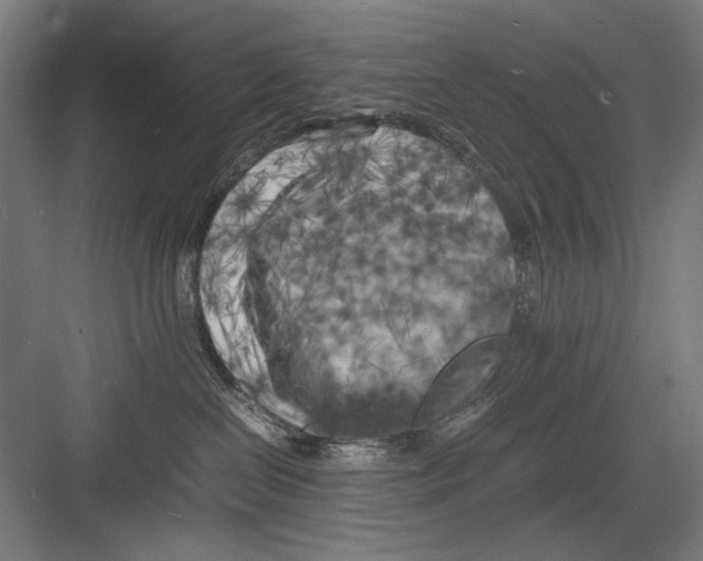 X0000082170286200702162309