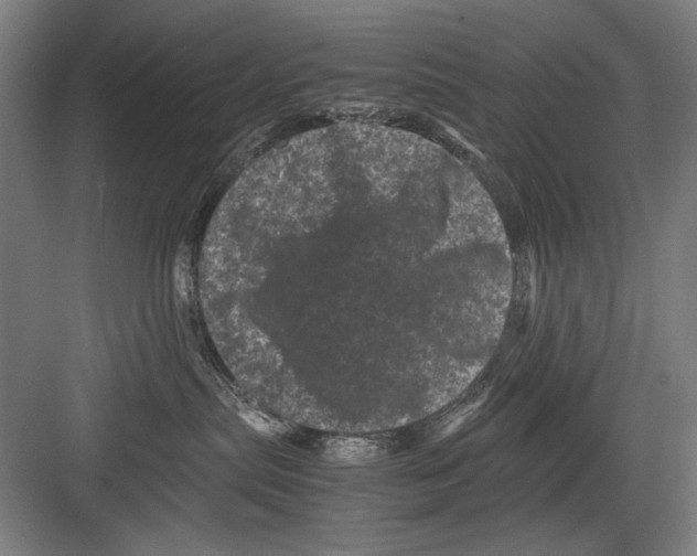 X0000082170287200702162309