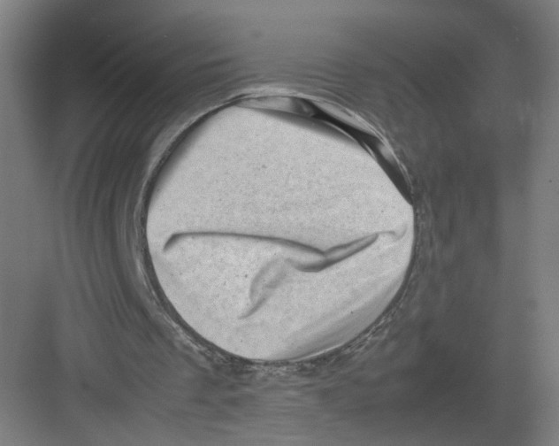 X0000082170289200702162308