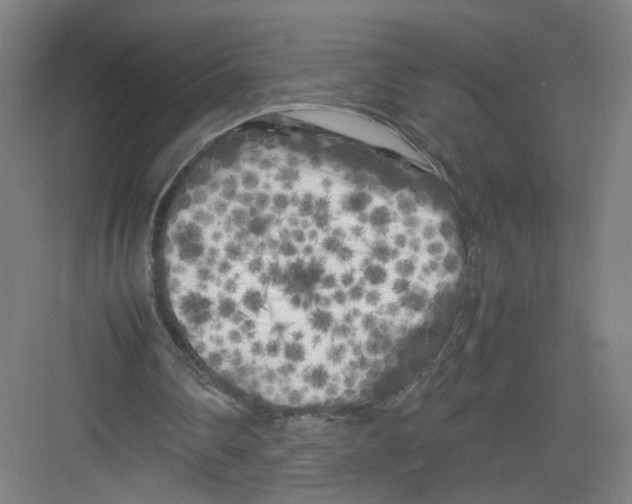 X0000082170290200702162308