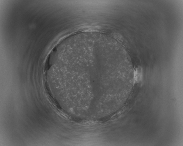 X0000082170291200702162308