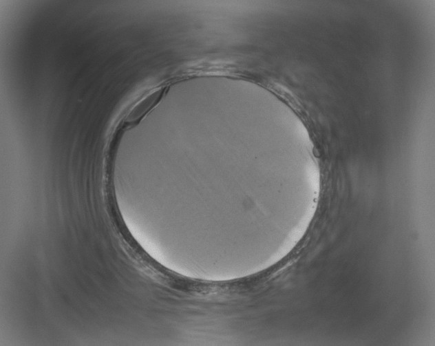 X0000082170293200702162308