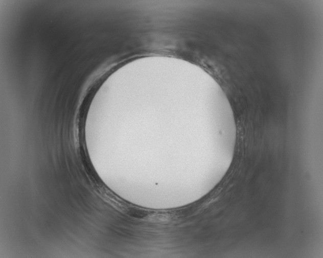 X0000082170294200702162308