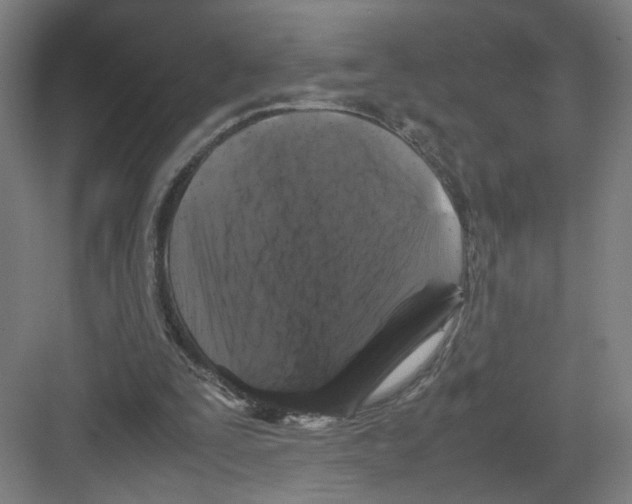 X0000082170295200702162308