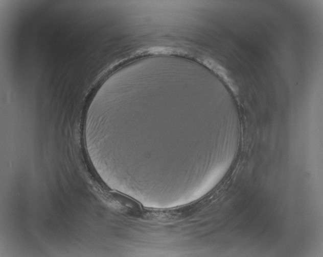 X0000082170297200702162308