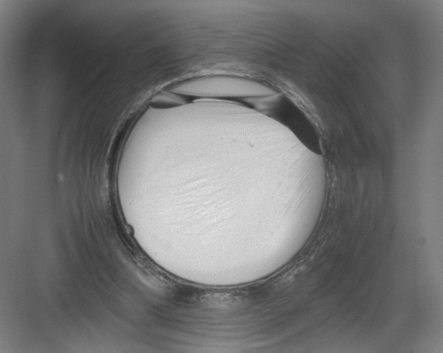 X0000082170298200702162308