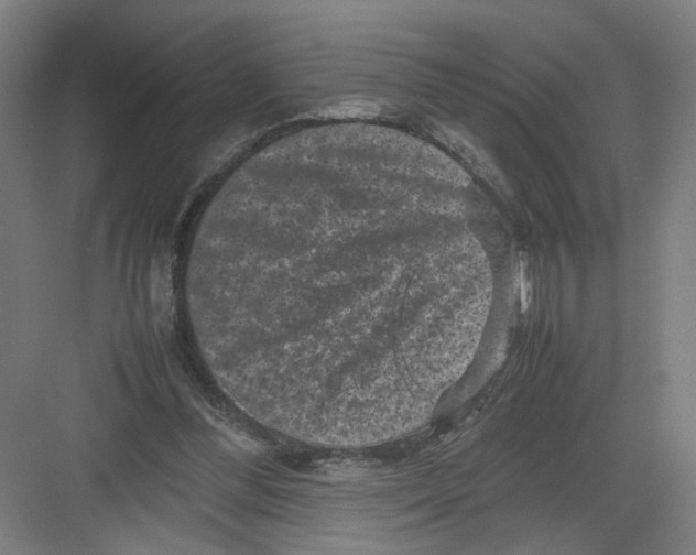 X0000082170300200702162308