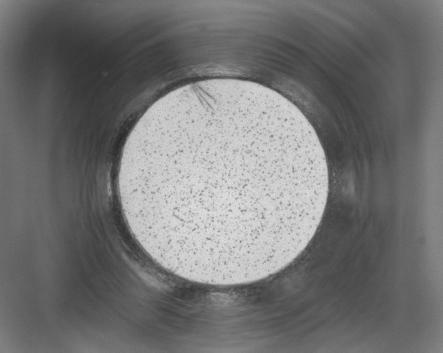 X0000082170302200702162308