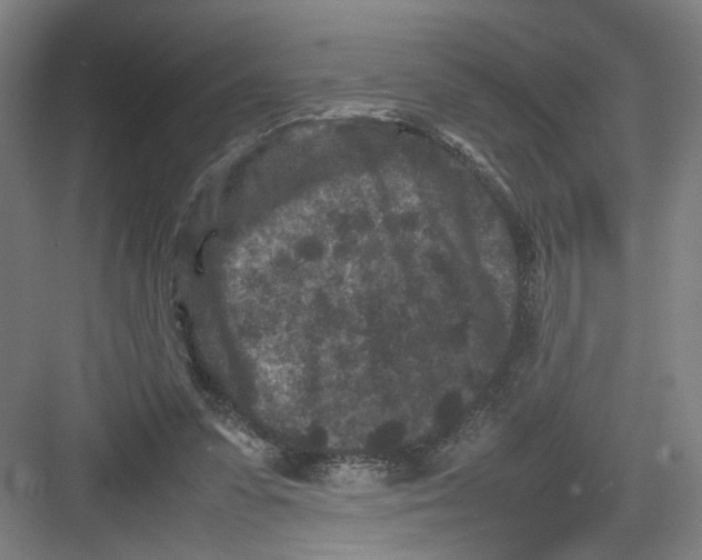 X0000082170303200702162308