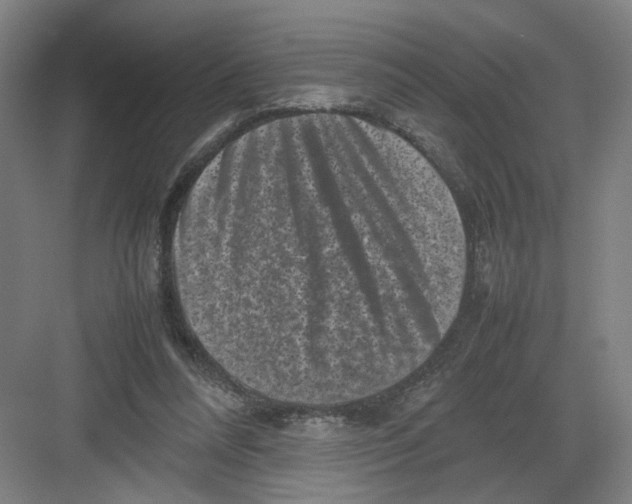 X0000082170304200702162308