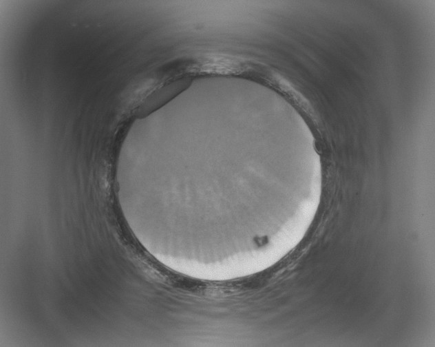 X0000082170305200702162308