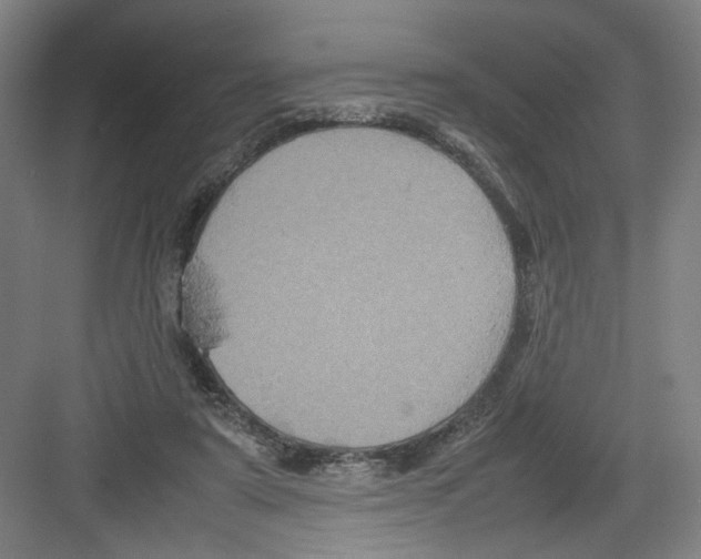 X0000082170307200702162308