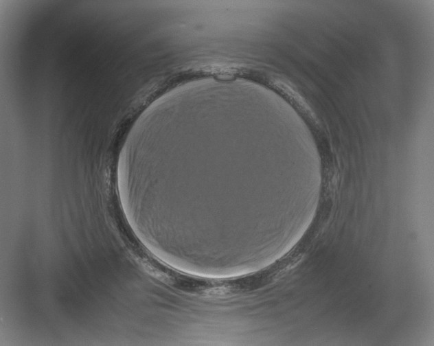 X0000082170309200702162308