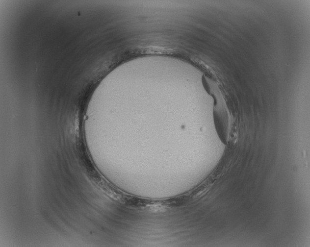 X0000082170310200702162308