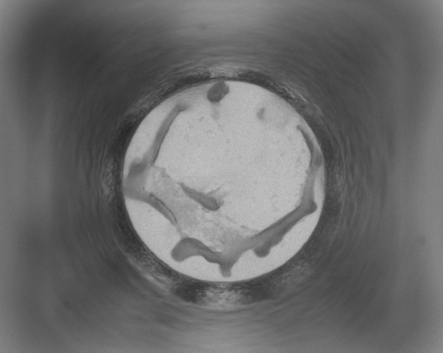 X0000082170311200702162308